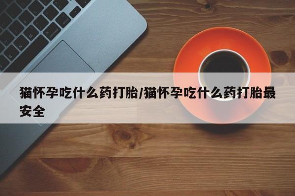 打胎药购买猫怀孕吃什么药打胎/猫怀孕吃什么药打胎最安全
