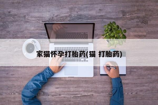 打胎药购买家猫怀孕打胎药(猫 打胎药)