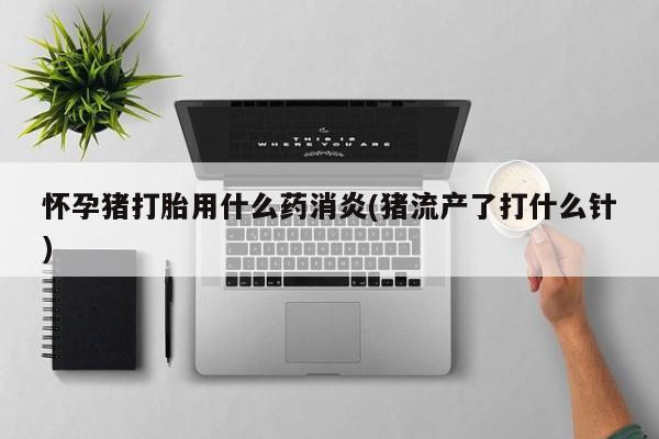 打胎药购买怀孕猪打胎用什么药消炎(猪流产了打什么针)