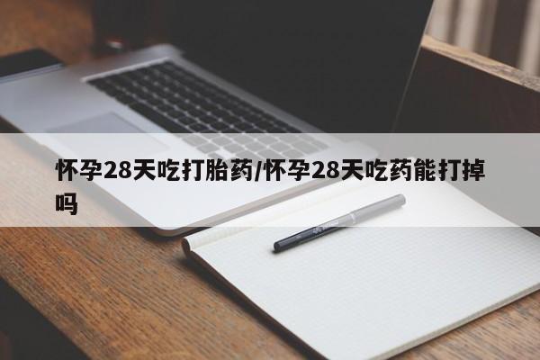 打胎药购买怀孕28天吃打胎药/怀孕28天吃药能打掉吗